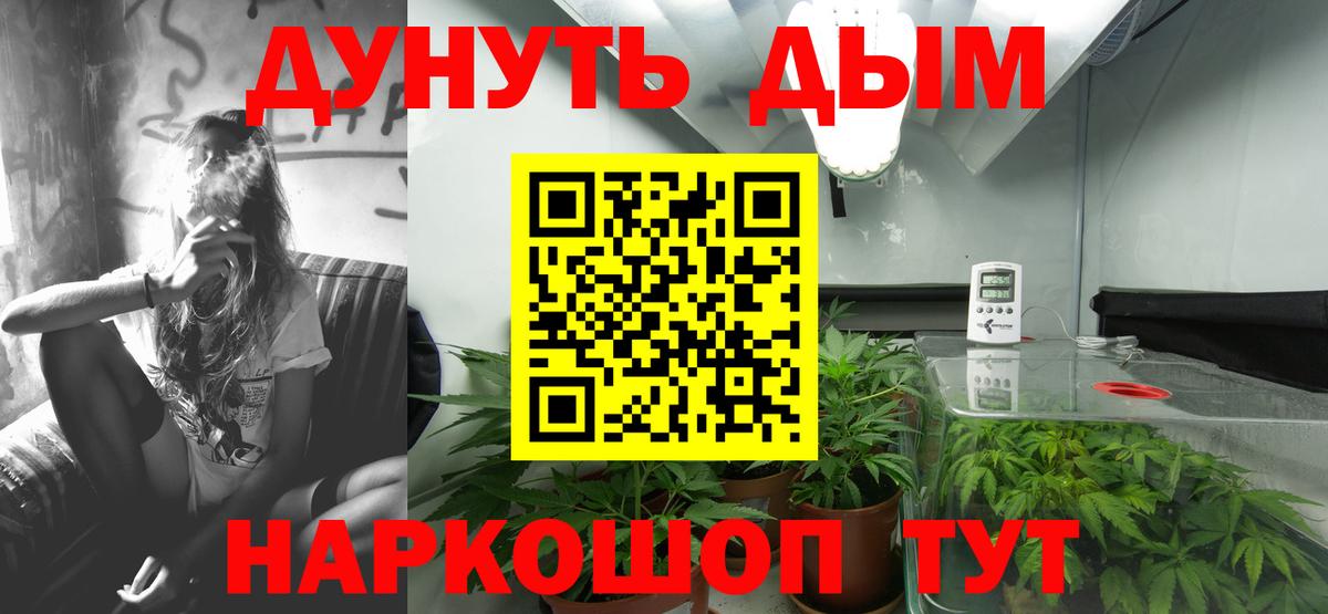 Марихуана Amnesia  Бошки марихуана Ganja  Кимовск  Вход с VPN 